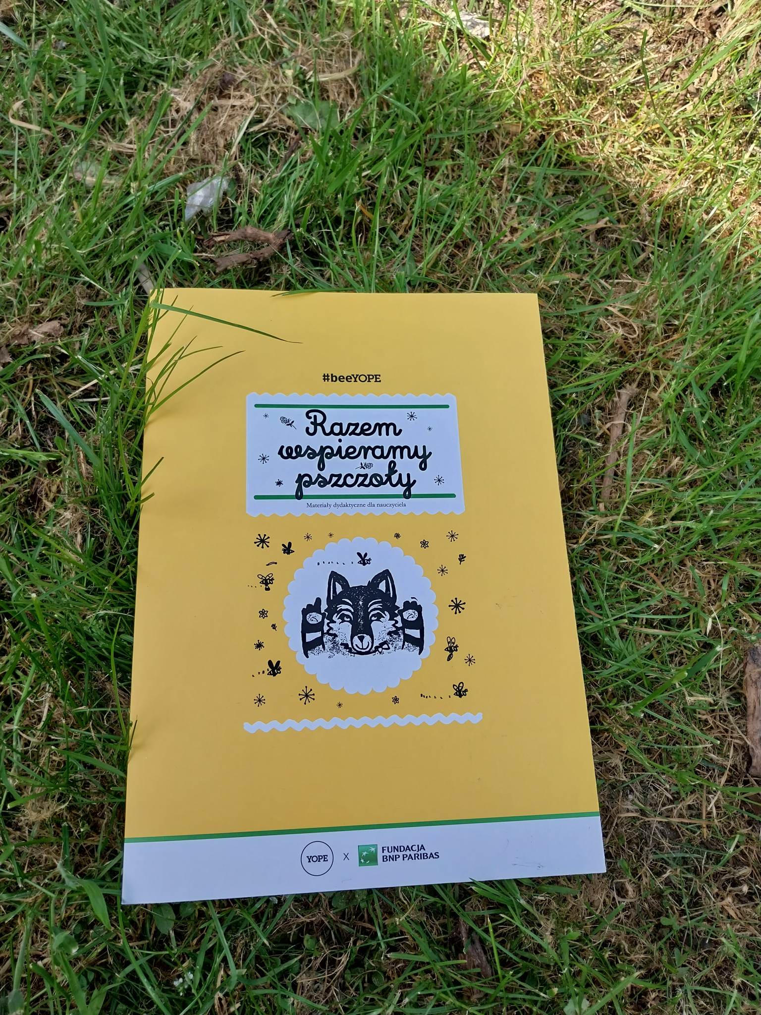 Zdjęcie pakietu edukacyjnego Razem wspieramy pszczoły