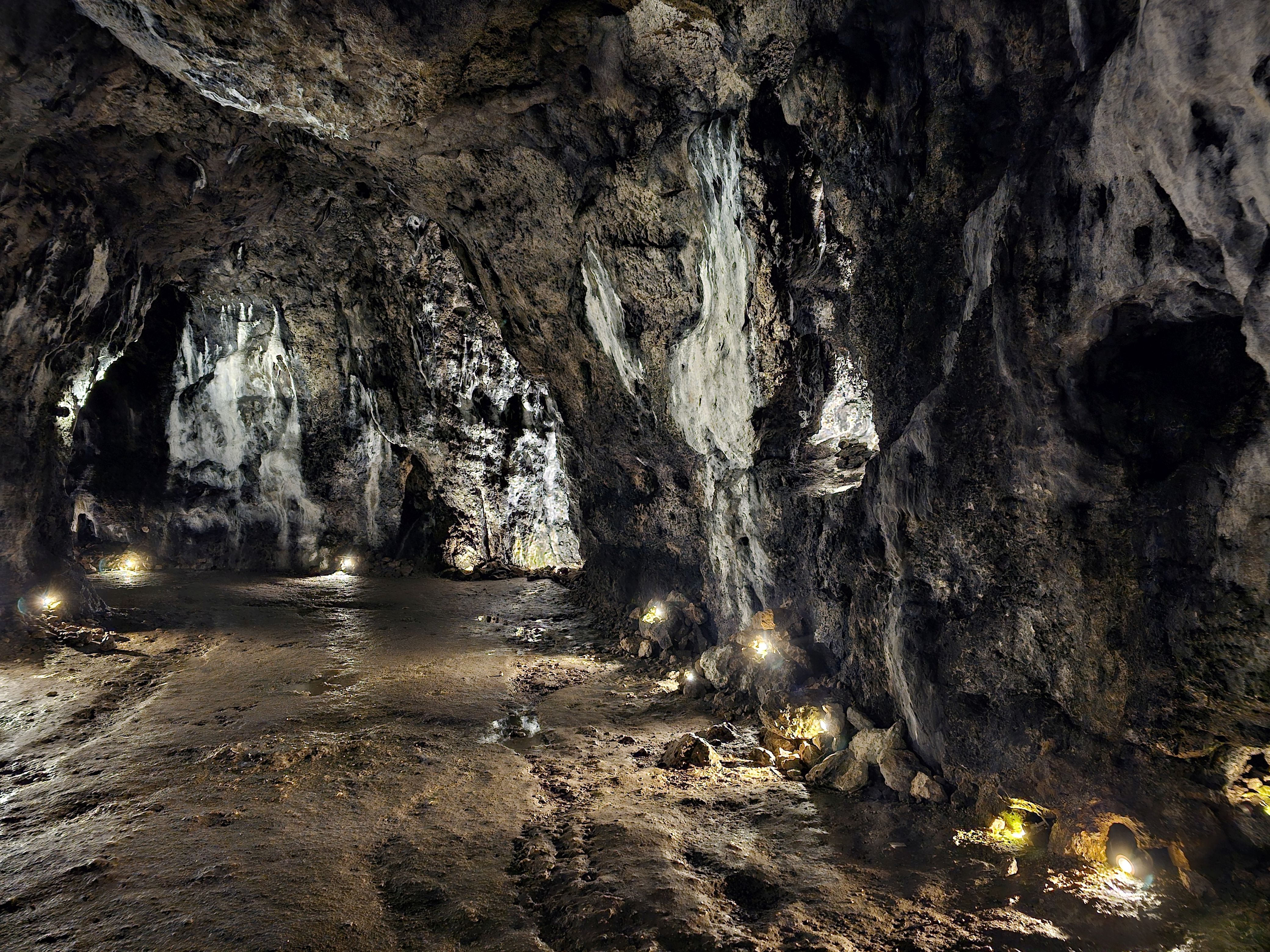 Jaskinia Łokietka