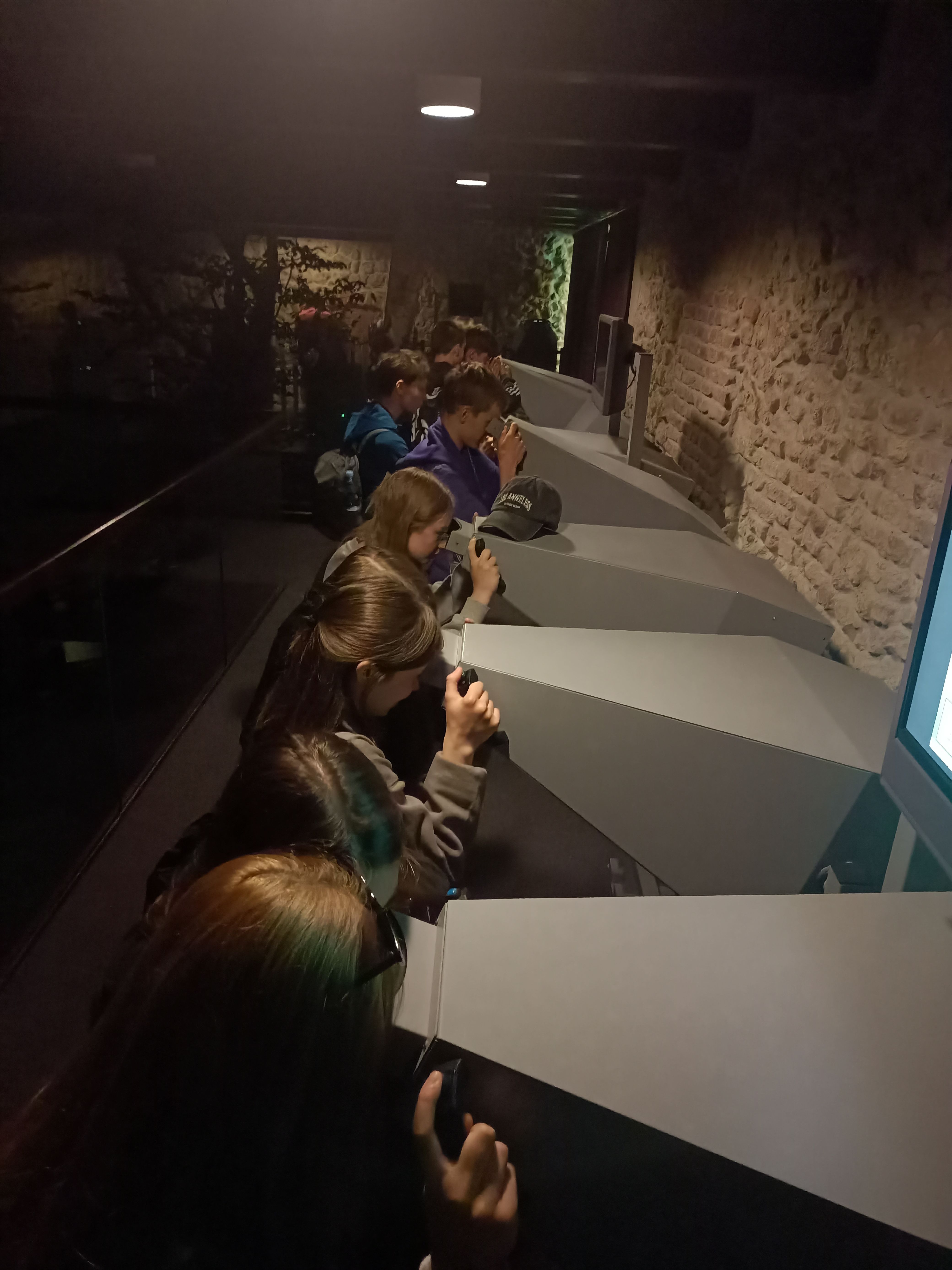 Uczniowie oglądają charakterystyczne dla parku środowiska