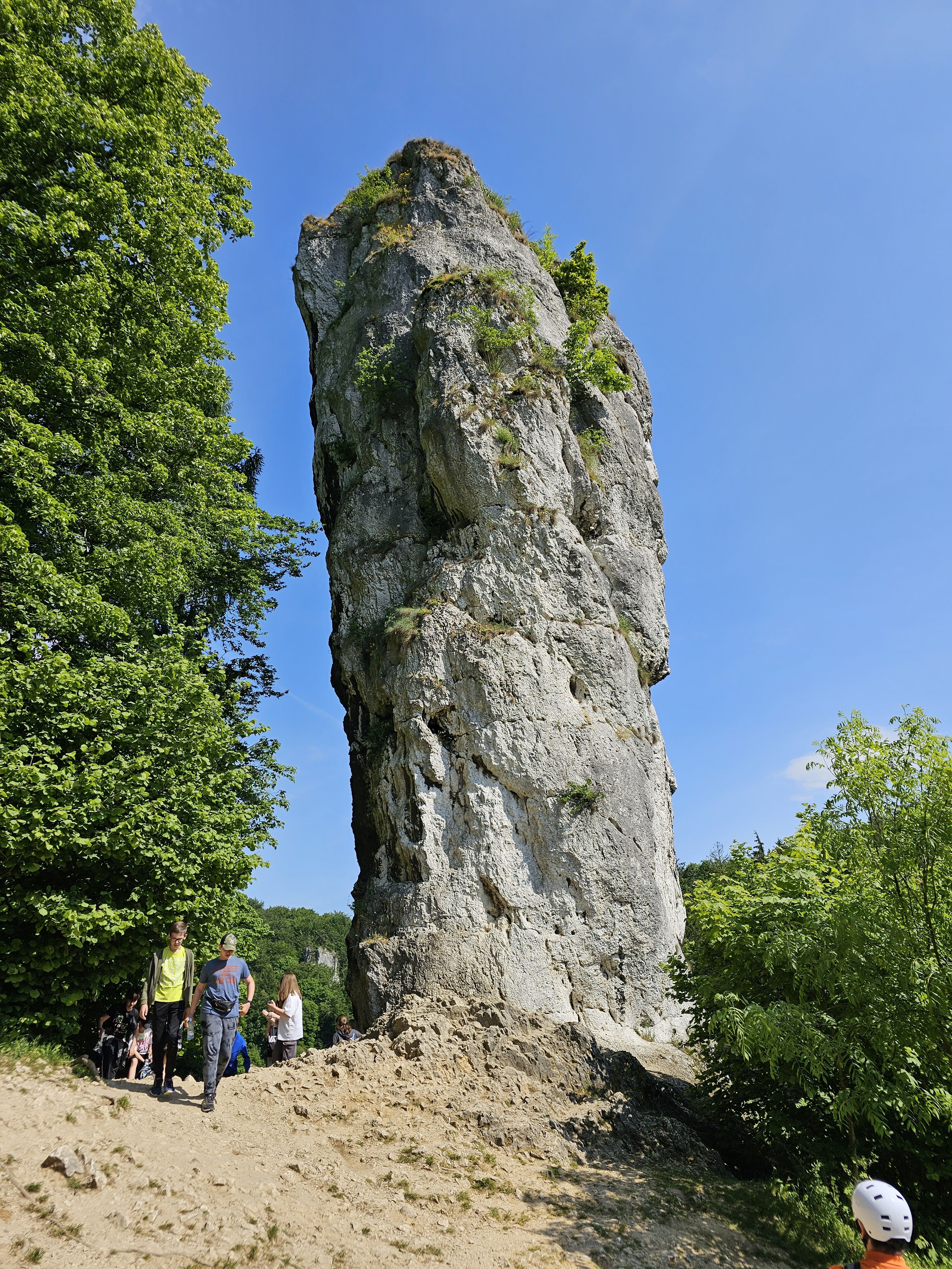 Maczuga Herkulesa